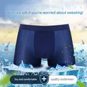 /69e75237a6cc2200090bb273/2026/08/25/product-img-6a8d5185ece14397cf350a9b.png